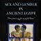 Amazon Sex And Gender In Ancient Egypt Don Your Wig For A Joyful Hour