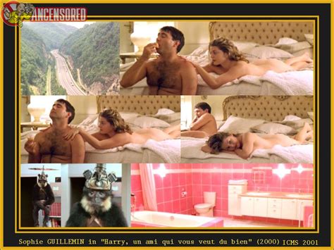 Naked Sophie Guillemin In Harry Un Ami Qui Vous Veut Du Bien