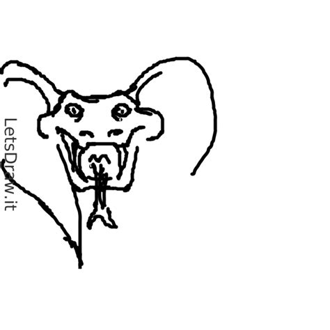 How To Draw Snake Eac7qn1ybpng Letsdrawit