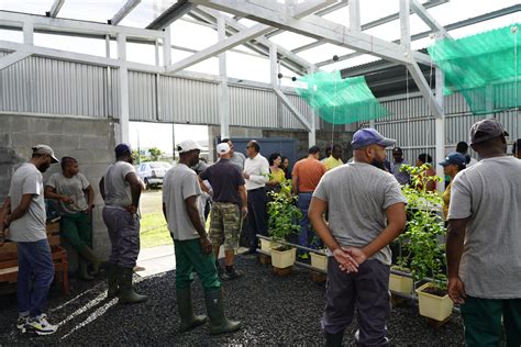 Lassociation Des Agriculteurs De Bras Panon Sur La Route De La