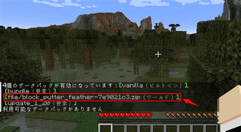 【マイクラ】データパックの入れ方！ローカルとサーバーへの導入方法 ゼロから始めるマイクラサーバー運用ガイド