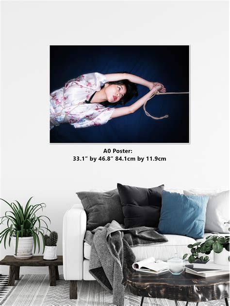 Shibari Colour 9 digital PDF File Japanese Sex Art Kinbaku Art Print