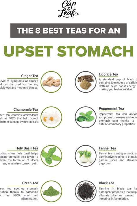 The 8 Best Teas For An Upset Stomach Cup Leaf Tea Tea