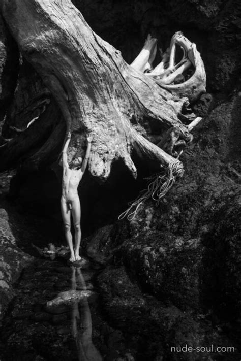 Branched Man Nude Soul Art Photos