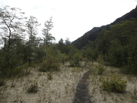 Parque Nacional Vicente Pérez Rosales Sendero Los Alerces Andeshandbook