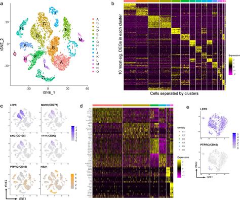 Single Cell Rna Sequencing Deconvolutes The In Vivo Heterogeneity Of