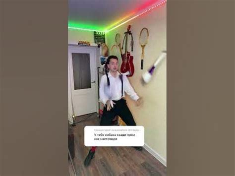 Собака как в песне Табу Долинова 😱 - YouTube