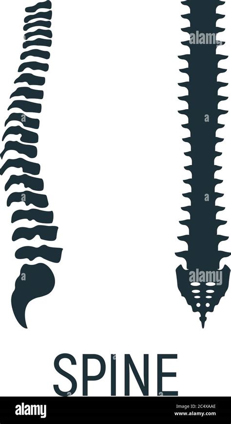 Columna Vertebral Hueso Icono De Concepto De Rayos X Imagen De Cuerpo