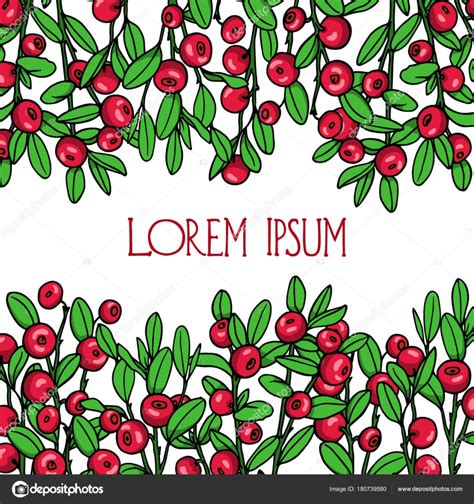 "Клюква рисунок для детей"