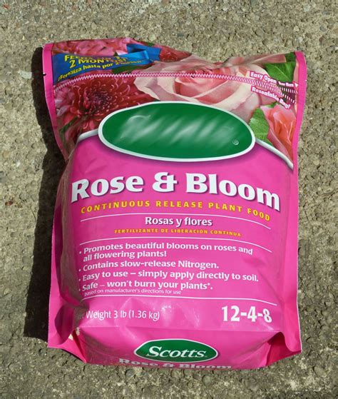 Feeding Roses - Tips For Selecting Fertilizer For Fertilizing Roses