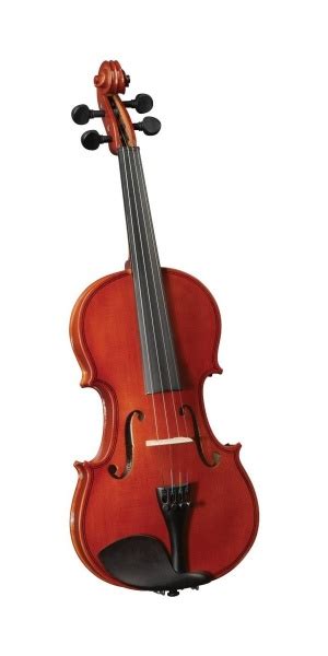 Скрипка Cremona HV-100 1/2 - купить с доставкой по выгодным ценам в ...