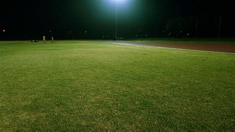 field, grass, grass field, grassland, grassy, green, green grass ...