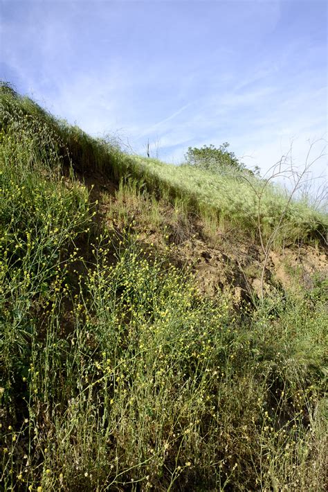 Griffith Park Trails | The Los Angeles Recordings | Flickr