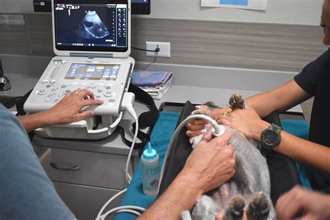 TheBus Route 552: Mililani Mauka Express Service Details 17