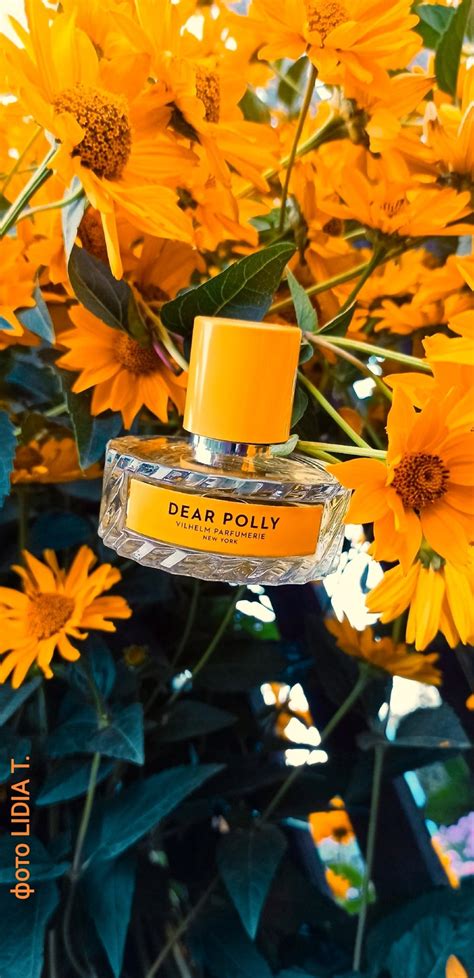 Dear Polly Vilhelm Parfumerie perfumy - to perfumy dla kobiet i ...