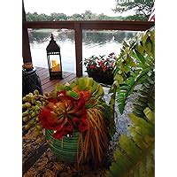 The Whole Lesbian Sex Book A Passionate Guide For All Of Us By Felice Newman Goodreads