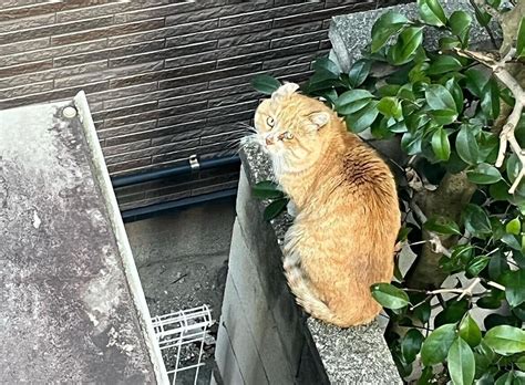 晴れの日もあれば雨の日もあり、晴天には晴天の清々しさが、雨の日には雨の日にしか感じられない美しさがある。人生の中にもよき日もあれば、そうでない