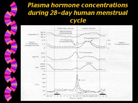 Plasma Hormone Concentrations During 28 Day Human Menstrual Cycle