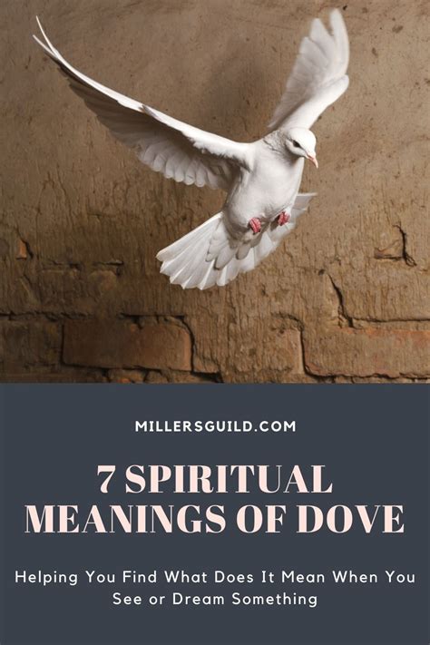 Dove Meaning Symbolism The Dove Spirit Animal Artofit