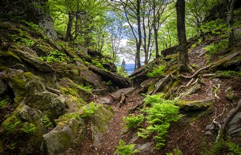 Hike For The Catskills Catskill Center