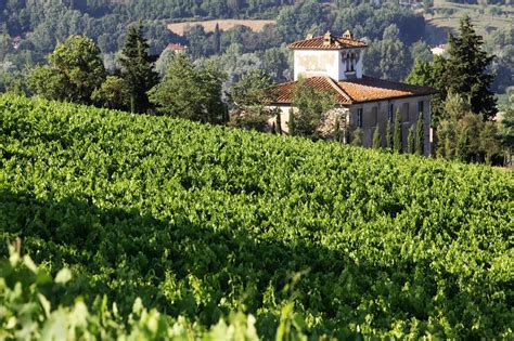 frescobaldi tenuta castiglioni tenute frescobaldi