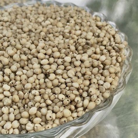 Pure And Organic Parboiled White Sorghum Millet Great Source Of