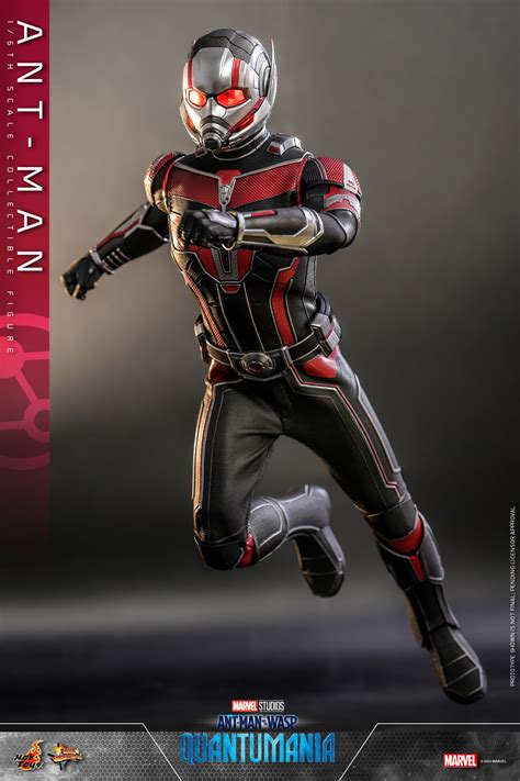 Hot Toys Ant Man Toys Zone D Figures Price List Reviews
