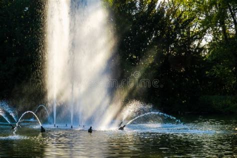 Fountain Water Jets And Splashes In Lake At Park Stock Photo Image Of