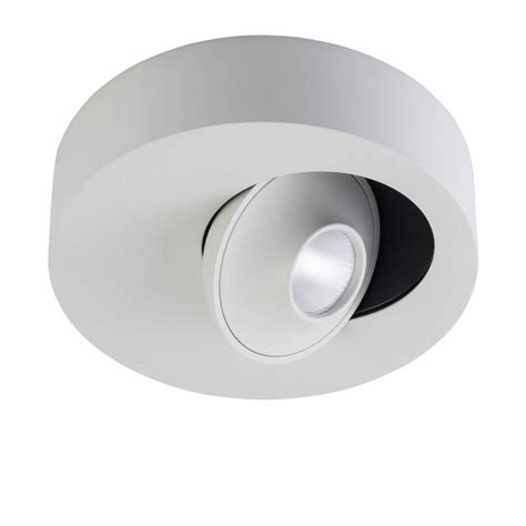 Спот: что это, как он выглядит, какие виды бывают