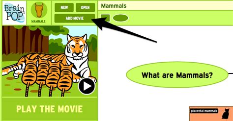 Mammals Concept Map Created With Make A Map Brainpop Educators