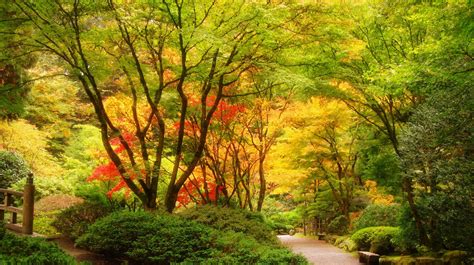 Portland Oregon Autumn Wallpapers - Wallpaper Cave