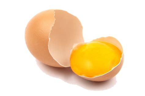Logo Png Egg Free Egg Png Transparent Download Free Egg Png