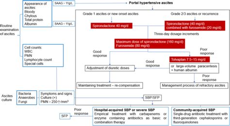 Chinese Guidelines On The Management Of Ascites In Cirrhosis