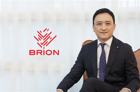 BRION | BRION COMPANY