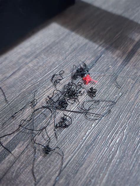 Bought Ender 3 pro on craigslist, every time I try and print something