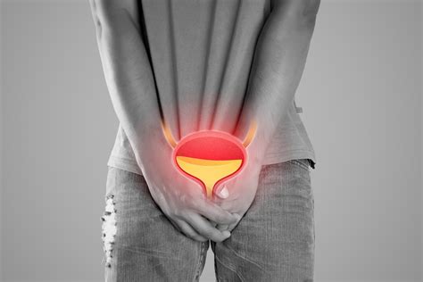 How Sex Affects Your Bladder Health Preferred Men S Medical