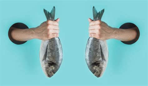 Qué significa soñar con pescado Interpretaciones y simbolismo