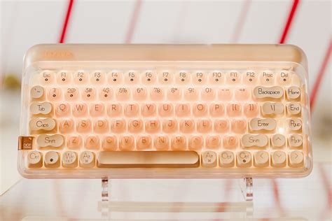 B N Ph M C Lofree Dot Foundation Hot Swap Baby Racoon Switch Mac Cafe