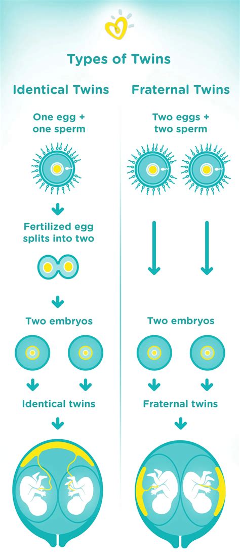 Mixed Chromosome Twins Definition