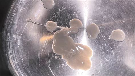 Easter Porn Videos Gay Xxx Xhamster