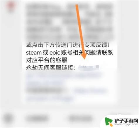 Steam永劫无间被永久封禁怎么解封 如何有效申诉永劫无间永久封禁的账号 铲子手游网