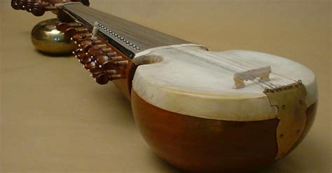 The Sound Of The Sarod | Wisconsin Public Radio