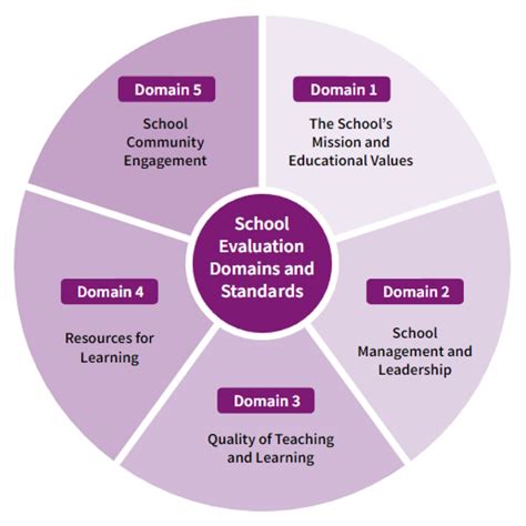 Why is SSE important for school improvement? 