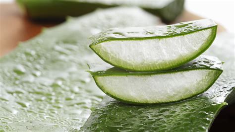 Así se prepara la crema con sábila para producir colágeno y rejuvenecer