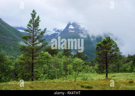 Innerdalen Mountain Valley Of Norway Summer Landscape With