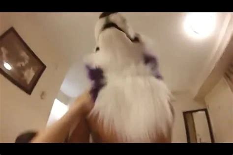 Husky Porn Videos Gay Xxx Xhamster