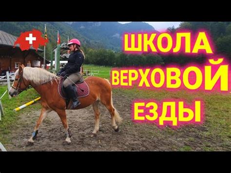 школа верховой езды в Швейцарии - YouTube