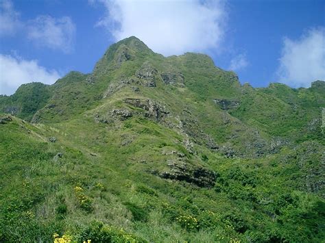 Górytrawy