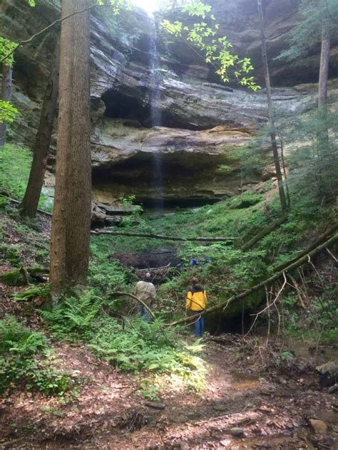 image2 - Columbus Audubon