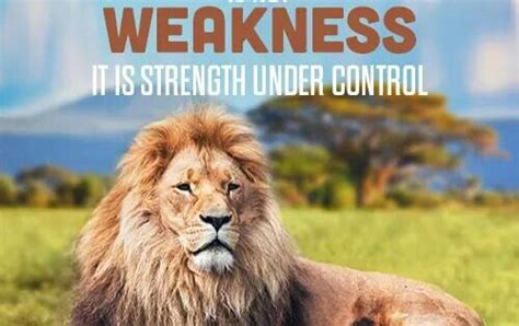 Meekness Is Not Weakness It S Strength Under Control Wisdom